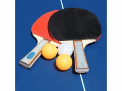 Hathaway Victory Professional 25mm Table Tennis Table -Game Series Store hathaway victory professional table tennis table sale